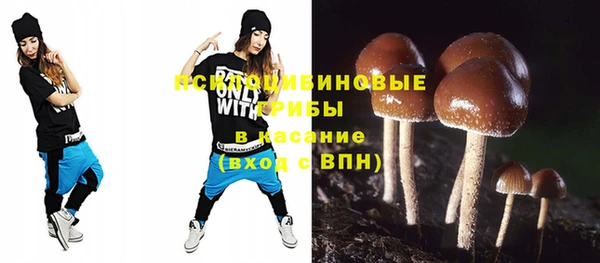 МДПВ Лиски