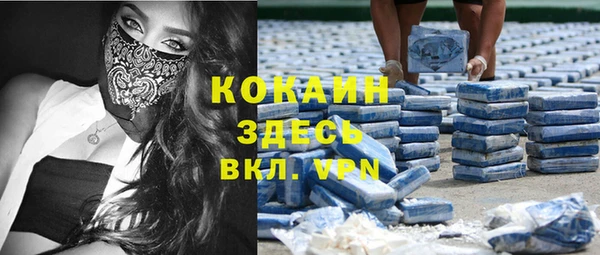 МДПВ Лиски