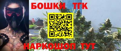 индика Лесосибирск