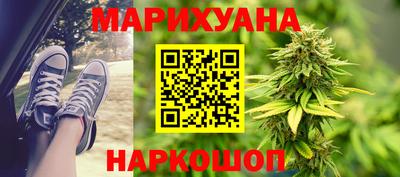 индика Лесосибирск