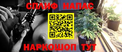 мяу мяу мука Кулебаки