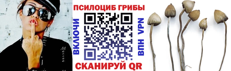 где продают наркотики  Златоуст  Галлюциногенные грибы MAGIC MUSHROOMS 