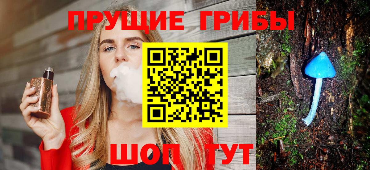 Псилоцибиновые грибы Psilocybe Златоуст