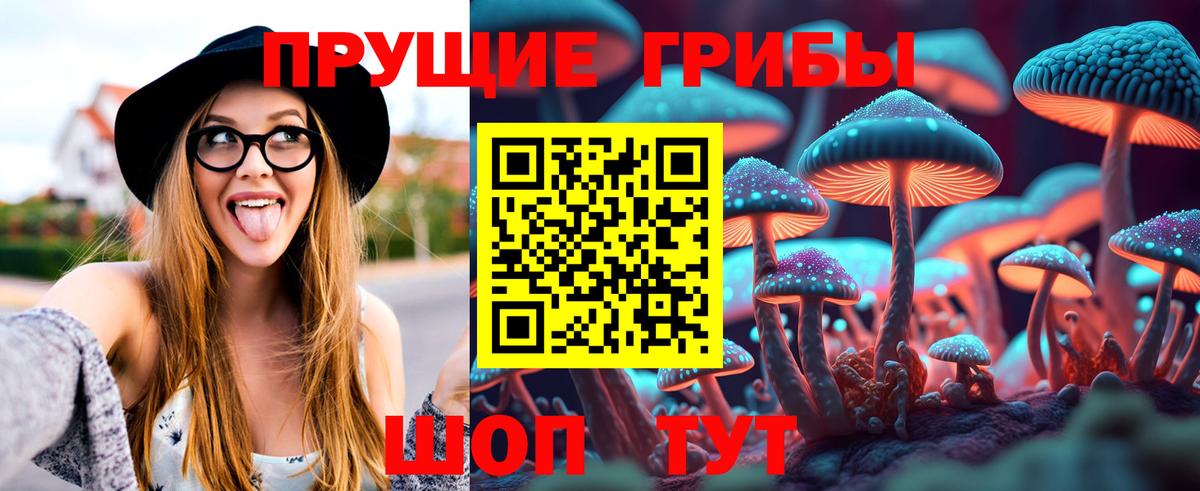 Псилоцибиновые грибы ЛСД  Вход с VPN  Златоуст 
